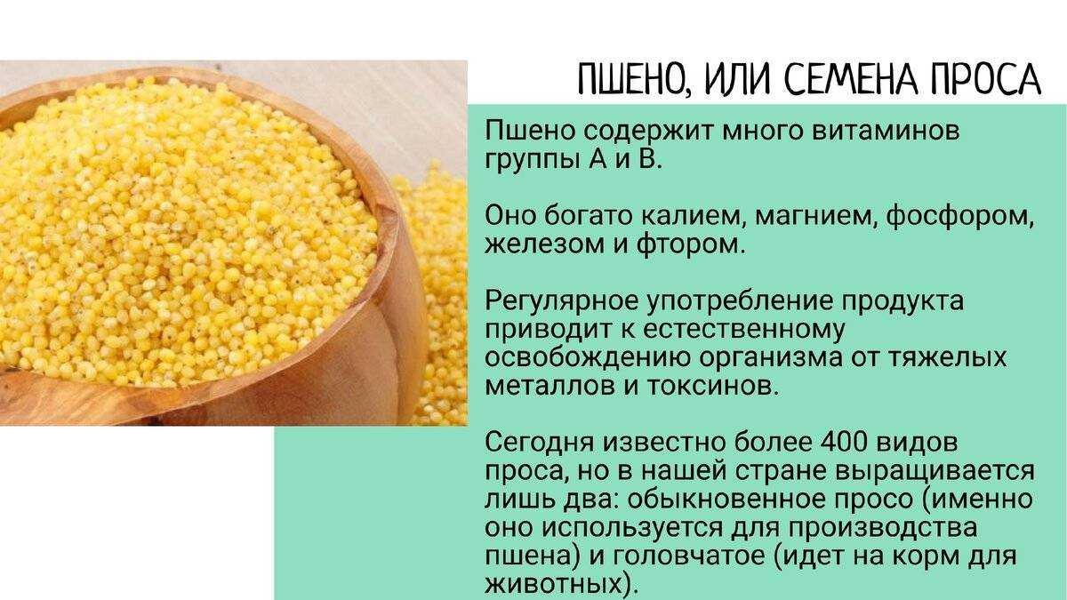 Пшенная каша. как правильно варить пшенную кашу на воде и на молоке