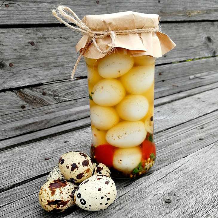Маринованные яйца: как приготовить лучшие рецепты простой закуски