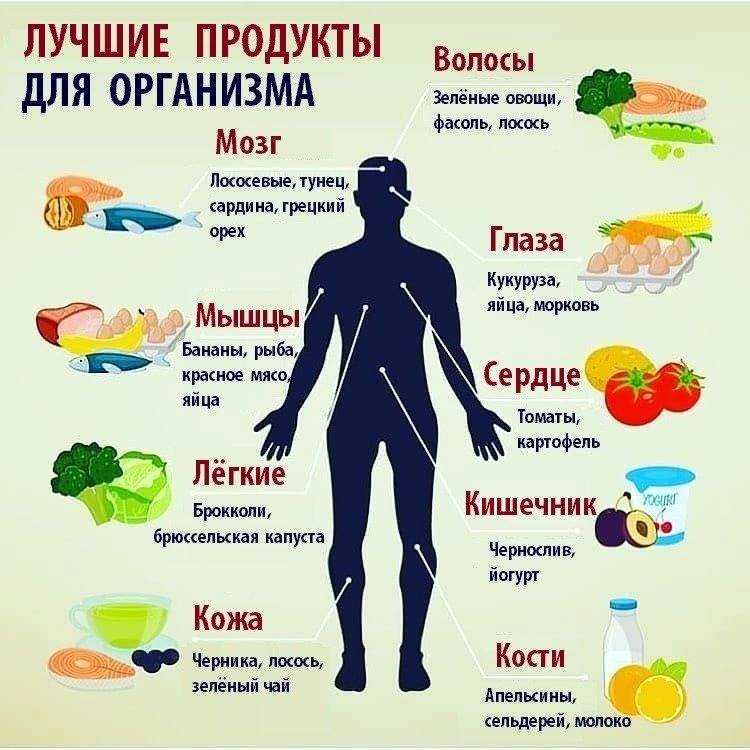 Топ-16 продуктов, вызывающих рак