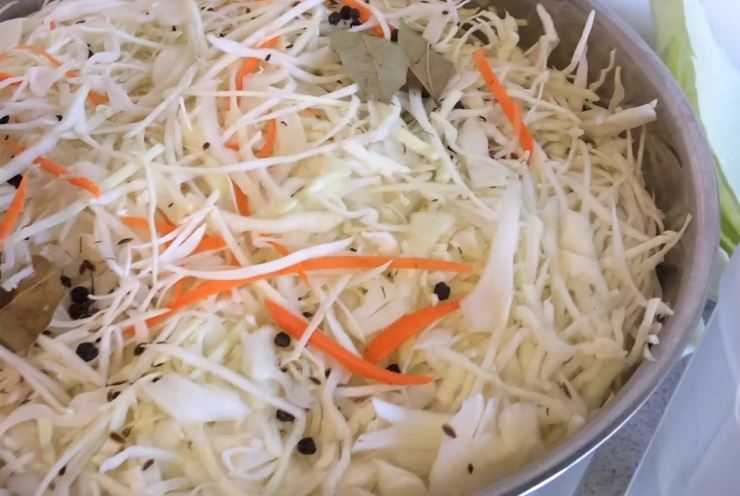 Очень вкусная квашеная капуста на зиму: классические рецепты