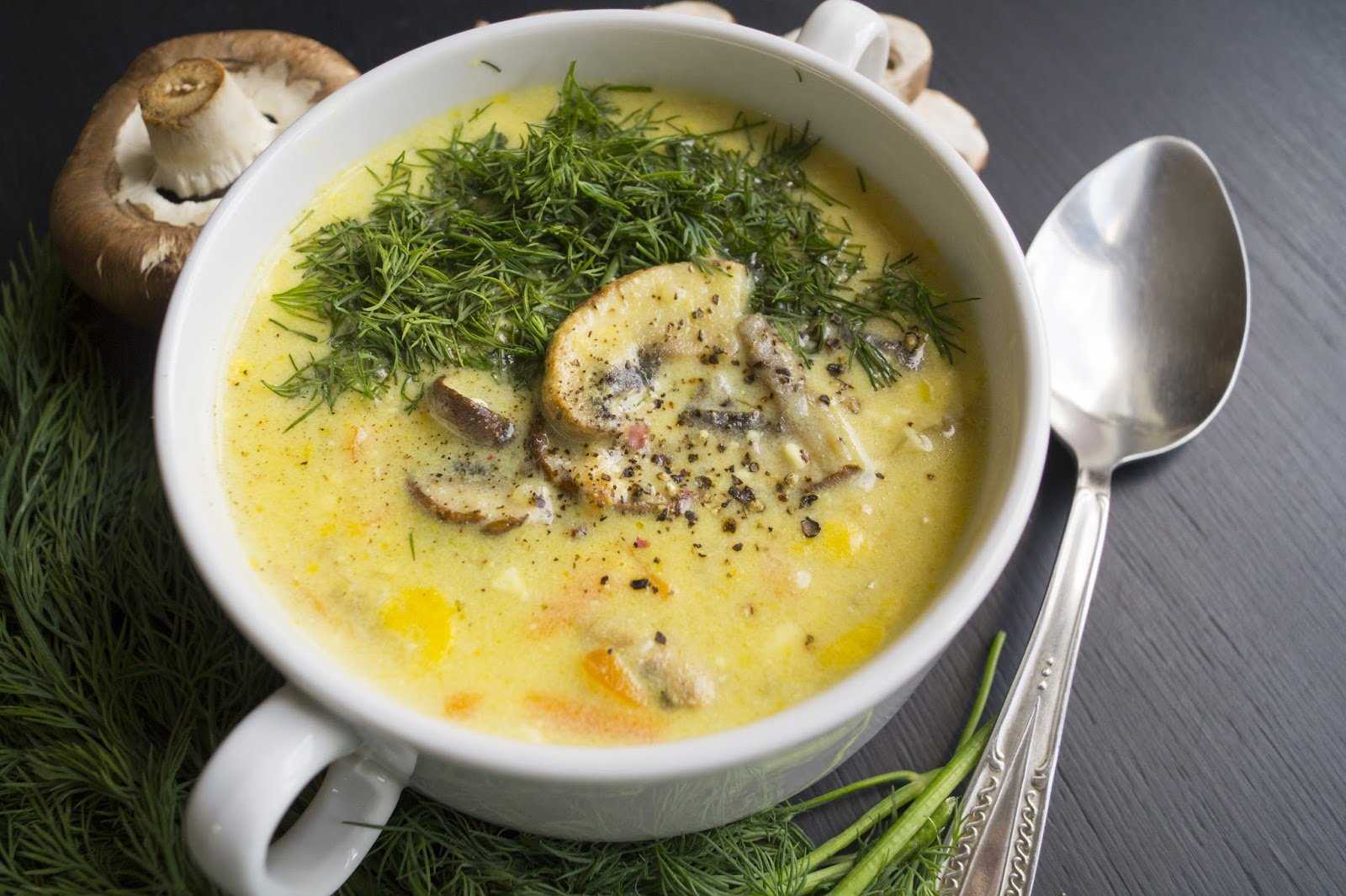 Сырный суп с курицей и грибами – 7 рецептов как приготовить