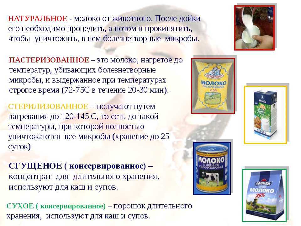 Можно ли давать козье молоко грудничку