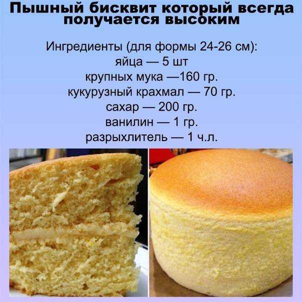 Бисквит классический — 8 пошаговых рецептов приготовления пышного бисквита