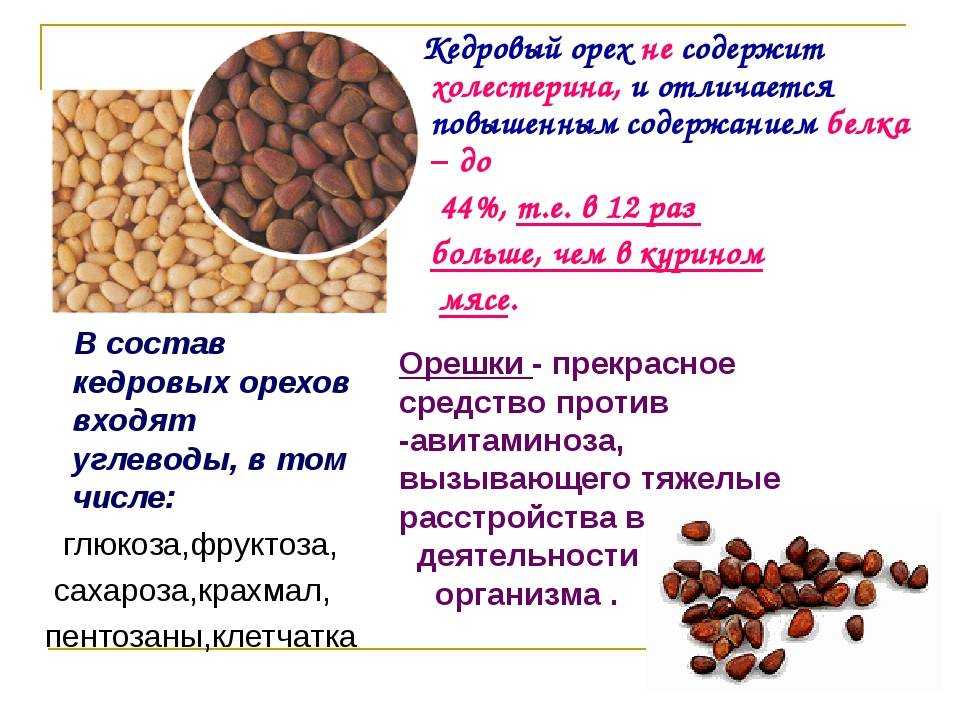 Настойка на кедровых орешках: рецепты на водке и на спирту