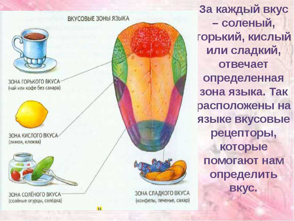 Всё про соус шрирача: что это такое, с чем едят, состав и другое