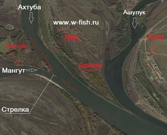 Лучшие рецепты кляра для жарки рыбы на сковороде