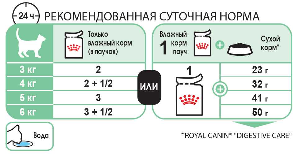 Куриные желудки рецепт мариновать