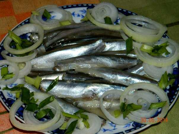Как посолить мойву в домашних условиях - быстро и вкусно
