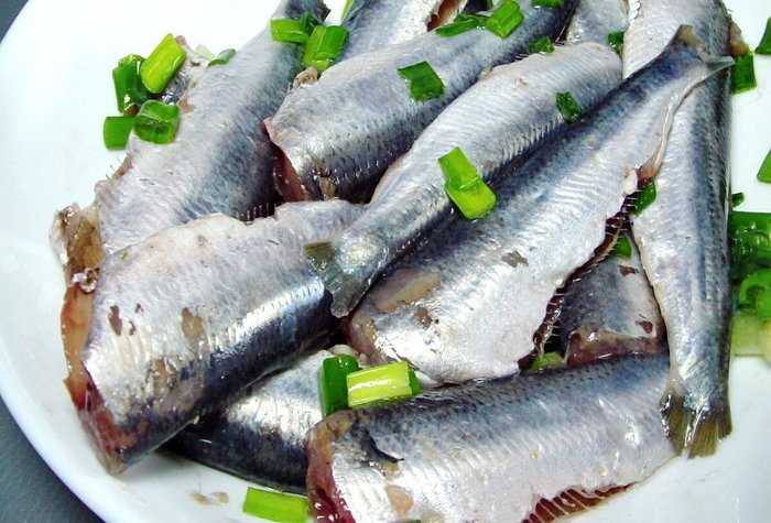 Как вкусно солить салаку дома: лёгкие рецепты приготовления