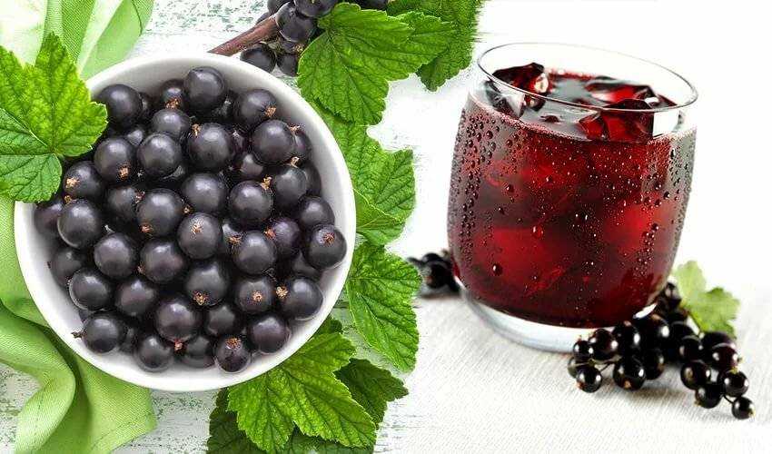 Морс из замороженных ягод, рецепт в домашних условиях