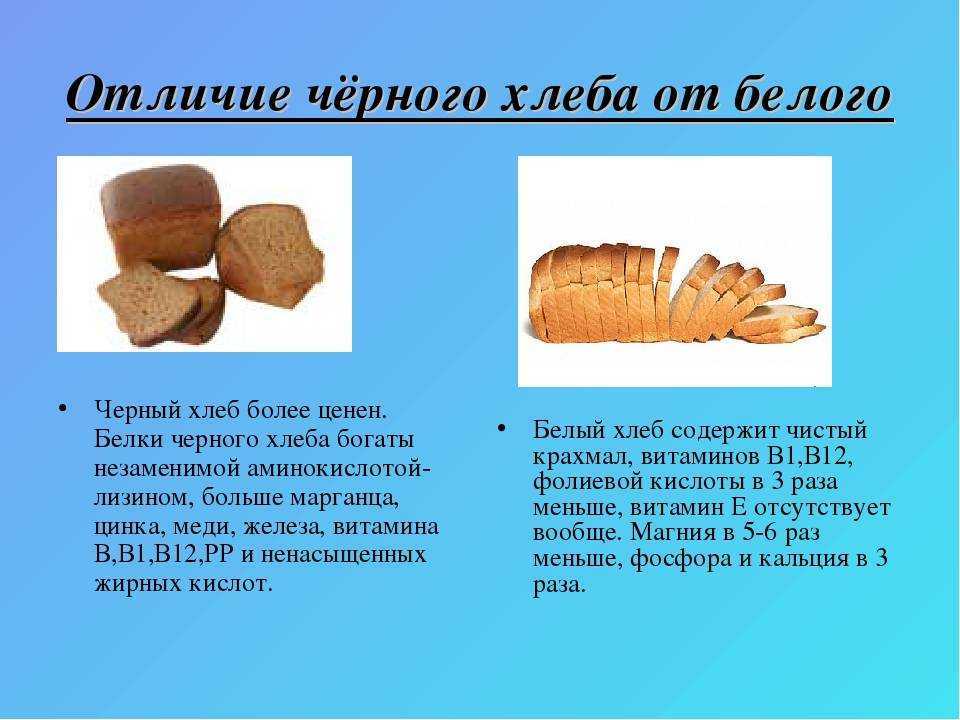 Сайка