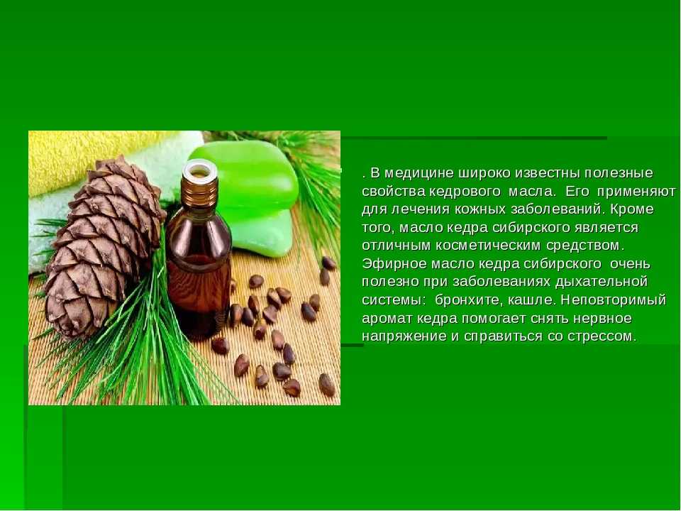 Настойка на скорлупе кедровых орехов: рецепты на водке, на спирту, на самогоне