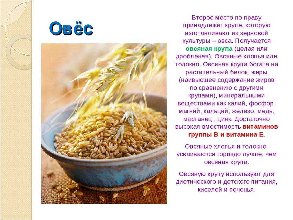 Витамин а: в каких продуктах содержится, чем полезен для организма и к чему приводит переизбыток или недостаток?