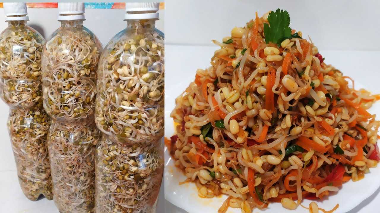 Рецепты из маша, 87 рецептов, фото-рецепты