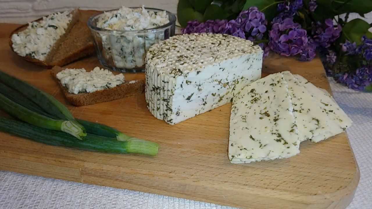 Брынза домашняя на ферменте ⋆ готовим вкусно, красиво и по-домашнему!