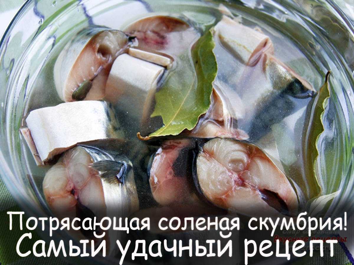 Очень вкусная скумбрия, соленая в домашних условиях: 9 простых рецептов