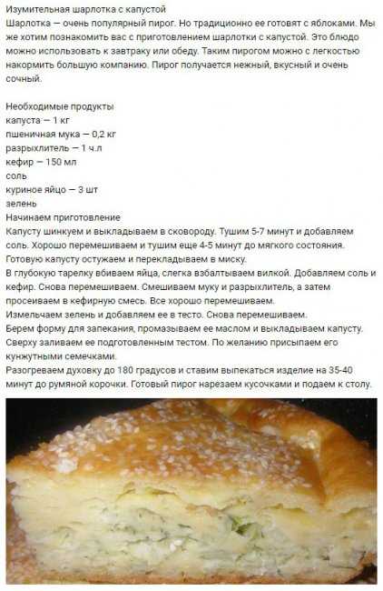 Шарлотка с яблоками — 5 простых рецептов самой пышной яблочной шарлотки
