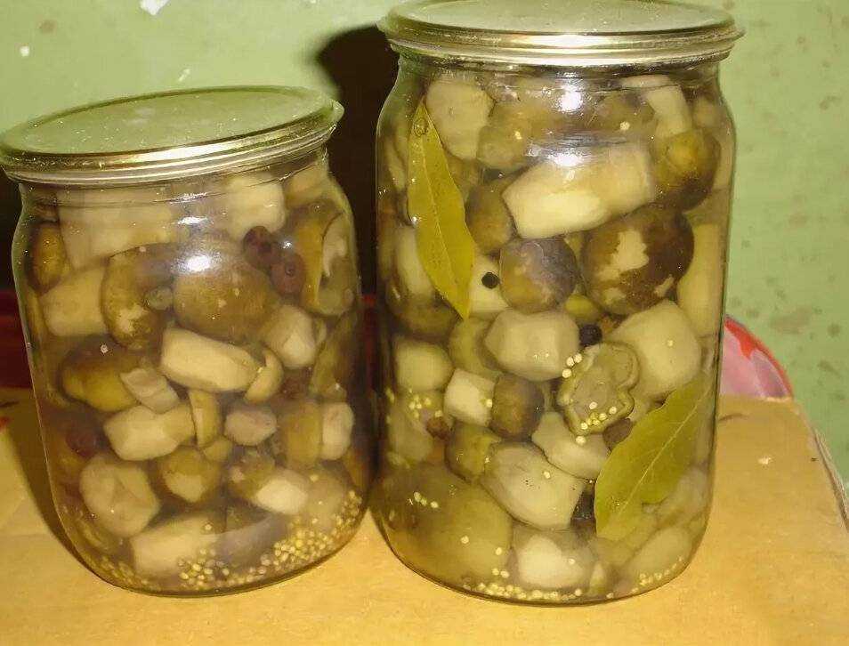 Маринованные грибы зеленушки на зиму рецепт