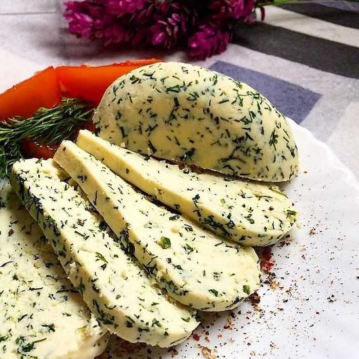 Брынза: польза, вред и противопоказания | food and health