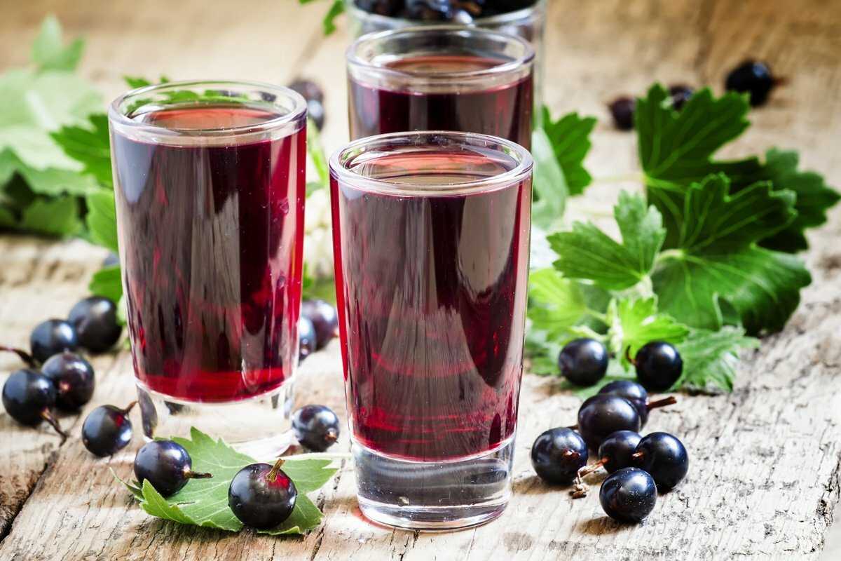 Клюквенный морс — лучшие рецепты. как правильно и вкусно приготовить клюквенный морс.