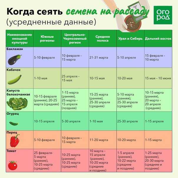 Соус юдзу: что это, вкус, состав, рецепт в домашних условиях - onwomen.ru