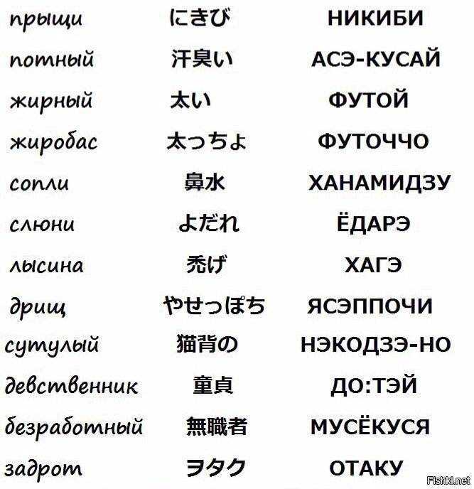 Различия между бонито и тунцом, которые вы должны знать. какой из них лучше?