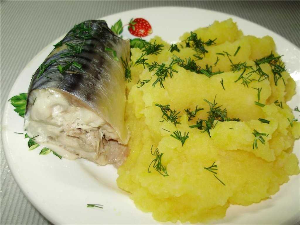 Отварная рыба рецепты вкусных и полезных
