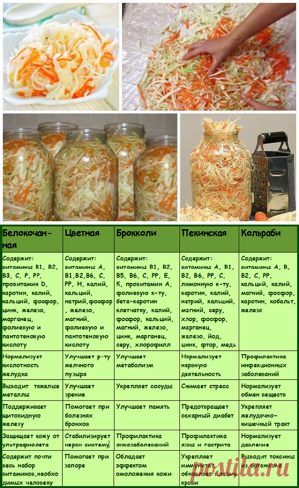 Для тех, кто любит сладкую капусту, делюсь рецептом быстрого приготовления Готовится проще простого Получается ароматная маринованная капуста с ярким кисло-сладким вкусом