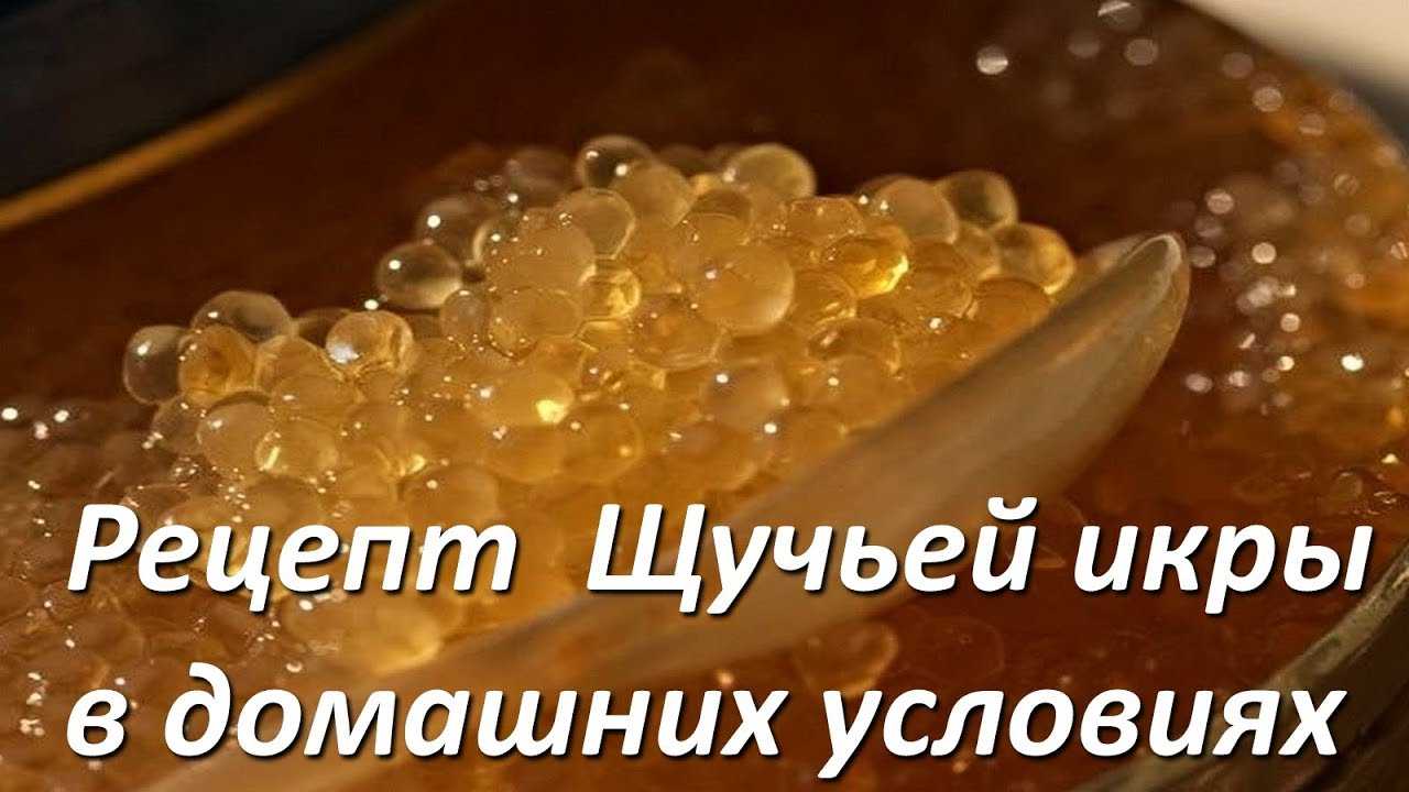 Кабачковая икра на зиму — пальчики оближешь. 4 простых рецепта икры из кабачков