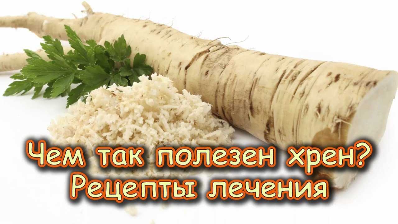 Как приготовить хрен в домашних условиях: рецепты — классический, хренодер, со свеклой и другие
домашний натуральный хрен - рецепты с фото. как приготовить хрен: классический способ (белый), со свеклой и еще несколько интересных рецептов