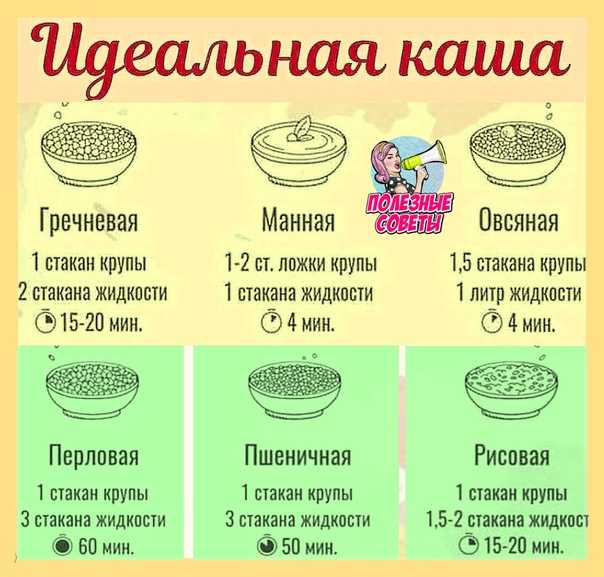 Рецепты пшеничной каши на воде: как сварить, пропорции, нюансы приготовления