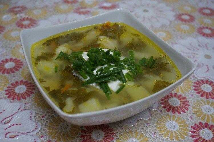 12 вкуснейших щавелевых супов, которые можно готовить все лето