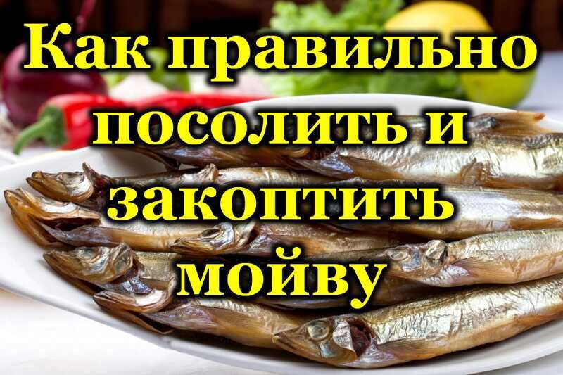 Мойва копченая в домашних условиях: рецепты холодного и горячего методов