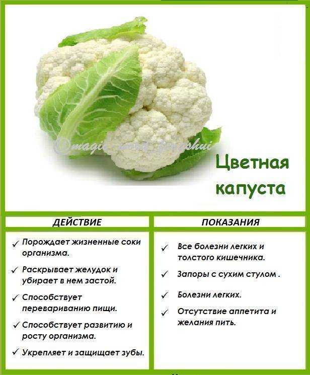 20 простых и очень вкусных блюд из цветной капусты