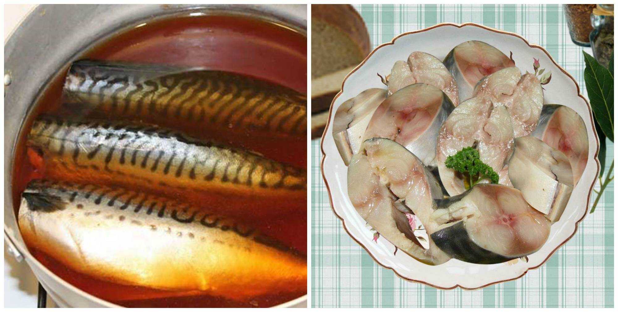 Соленая скумбрия в домашних условиях — очень вкусные и несравненные рецепты