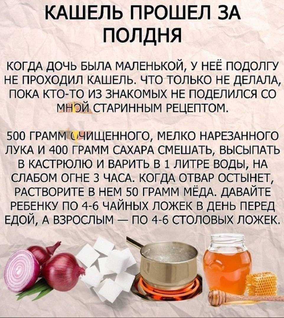 Черная редька с мёдом: польза. рецепты. противопоказания - медовый сундучок