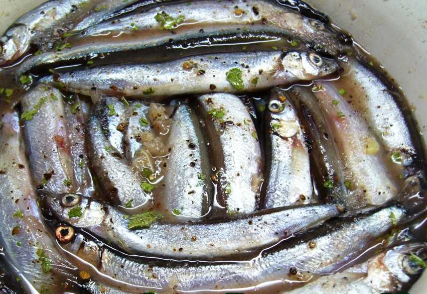 Мойва пряного посола в домашних условиях: 5 вкусных рецептов