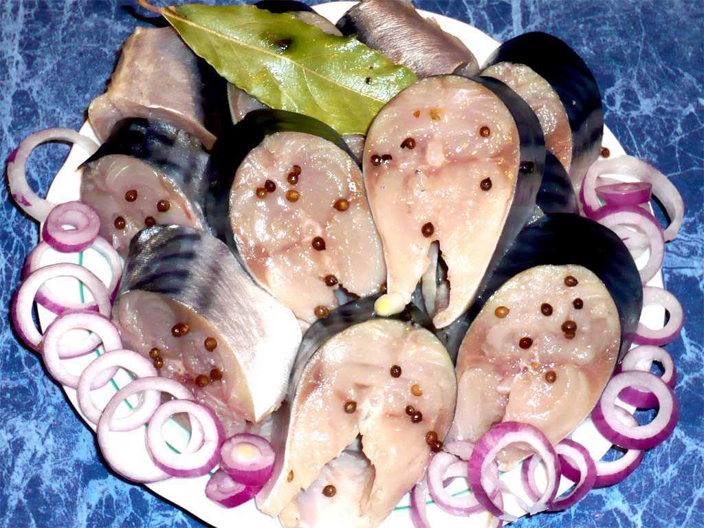 🚩 скумбрия пряного посола в домашних условиях: 6 легких и вкусных рецепта