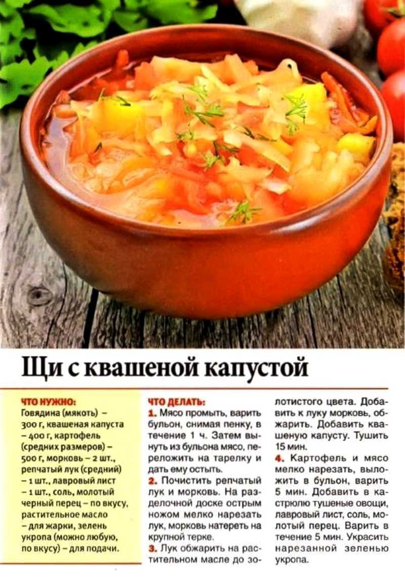 Щи из свежей капусты: рецепт классический с фото | меню недели