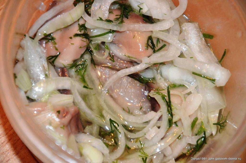 Маринованная щука — как замариновать в домашних условиях (кусочками в уксусе с луком)