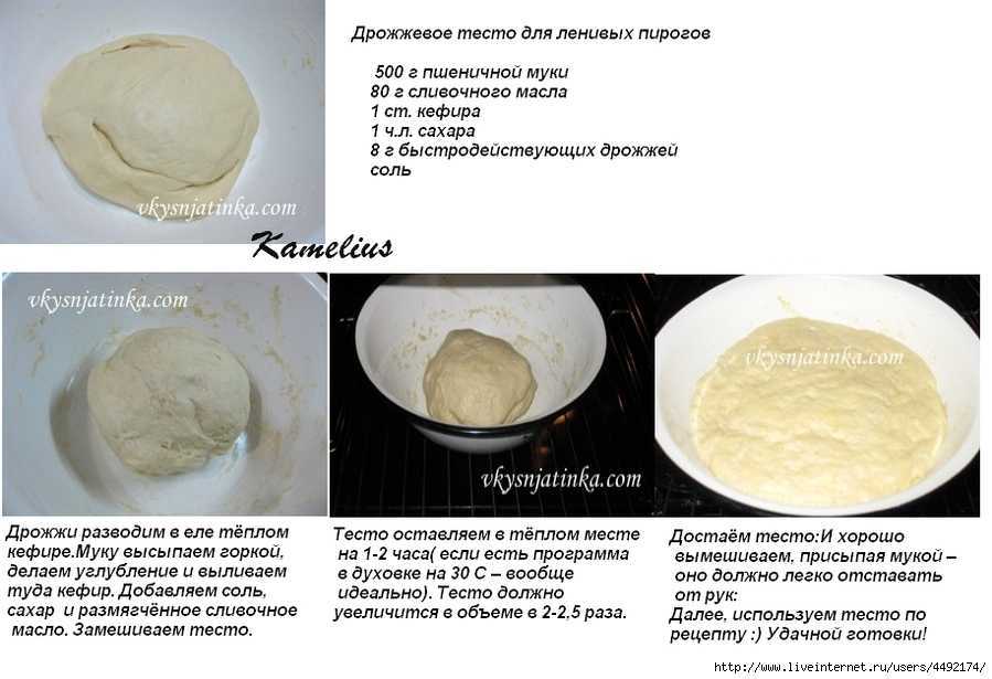 Тесто для пиццы — 10 простых и вкусных рецептов в домашних условиях