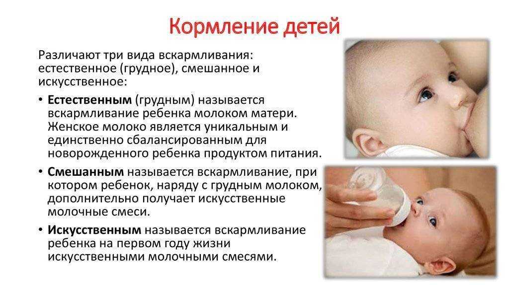 Как приготовить блинчики из детской смеси. блины из детской молочной смеси