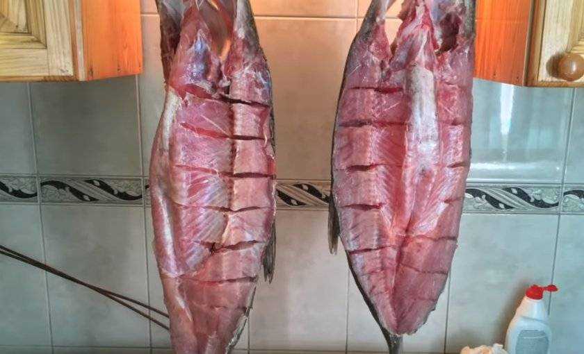 Балык из жереха, рецепт приготовления в домашних условиях - женский журнал wumens.su