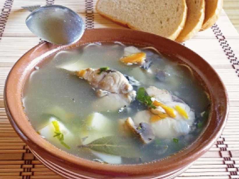 Уха из голов скумбрии рецепт. уха из скумбрии на скорую руку