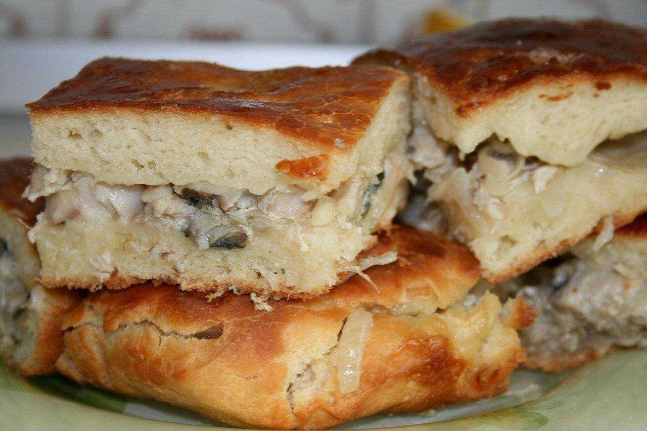 Рыбный пирог открытый и закрытый - как вкусно приготовить тесто и начинку по рецептам с фото