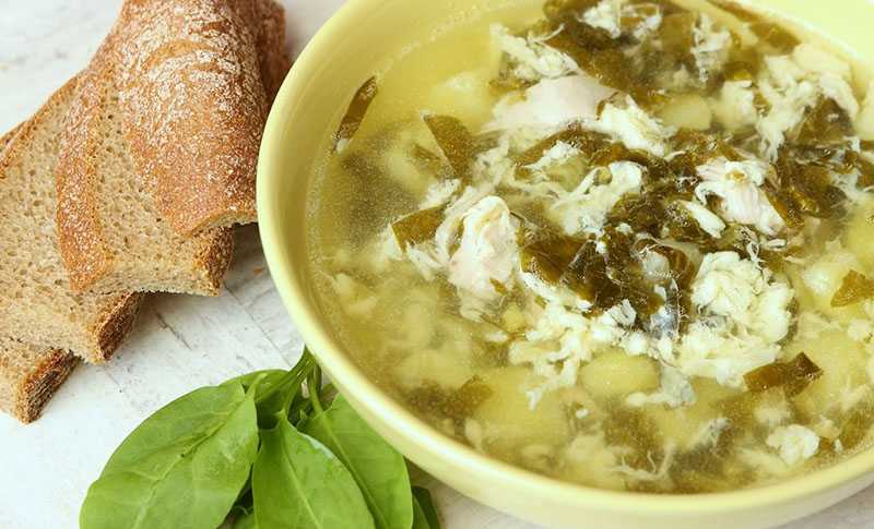 Зеленый борщ с щавелем и яйцом — 9 простых и вкусных рецептов
