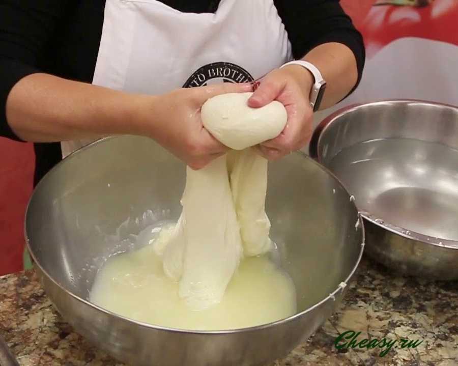 Сыр моцарелла: полезные и вредные свойства | food and health
