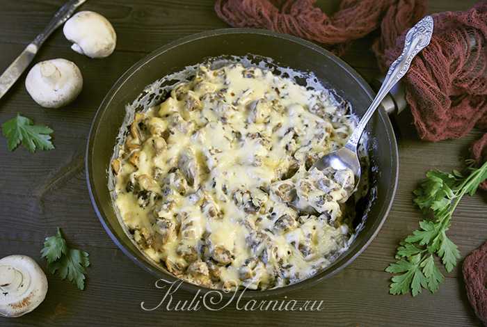 Жульен с курицей и грибами на сковороде - 6 рецептов с пошаговыми фото