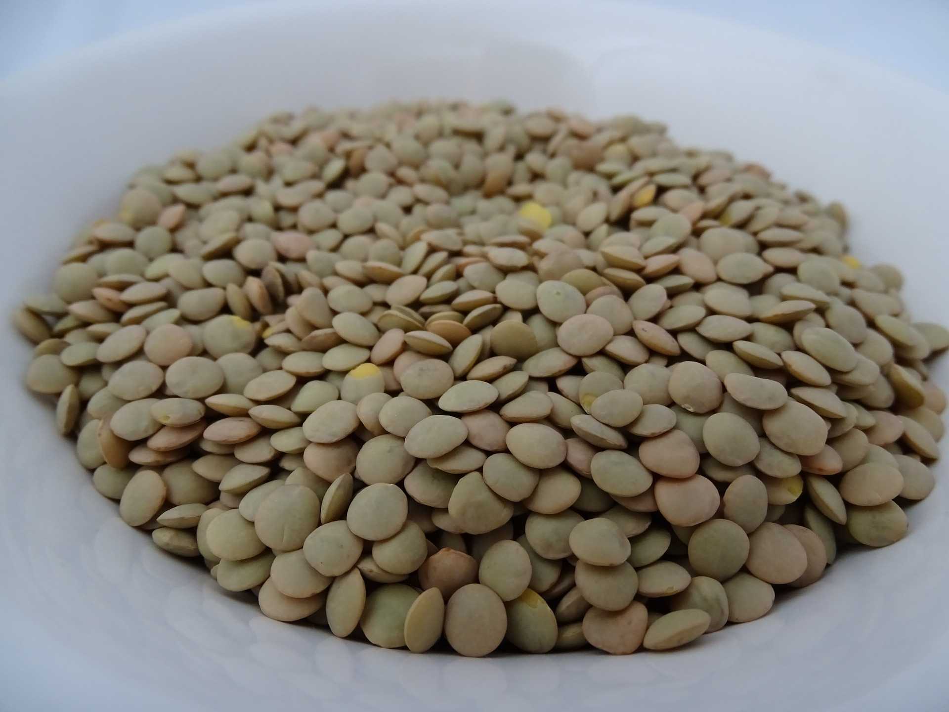 Как просто и вкусно приготовить кашу из чечевицы по пошаговому рецепту с фото