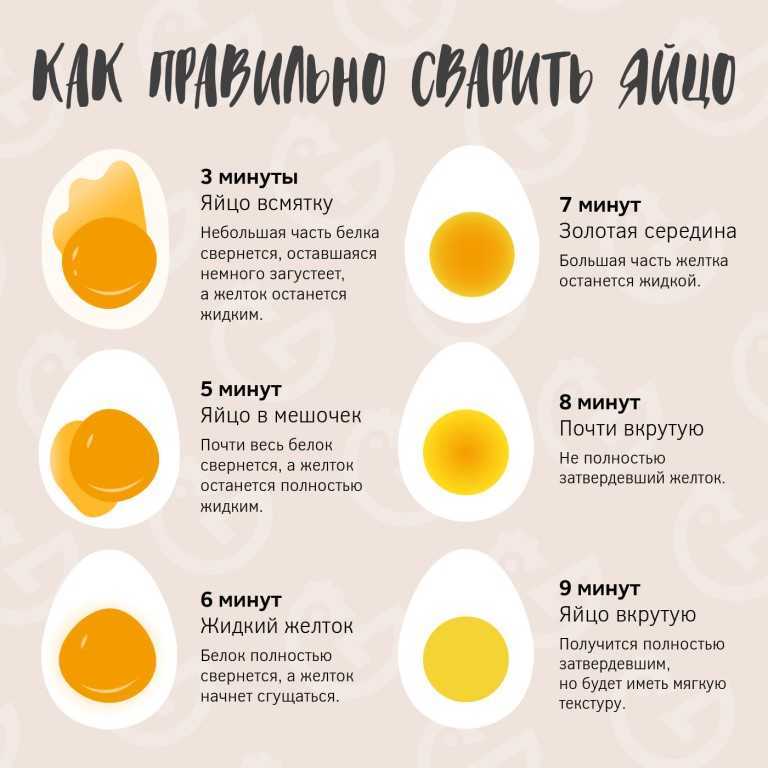 8 блюд из яиц для тех, кому надоела обычная яичница - горящая изба